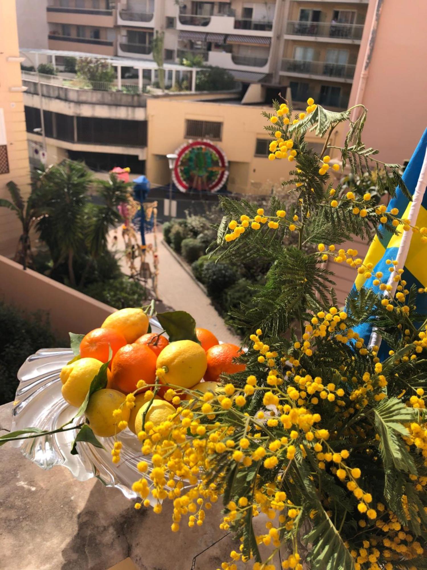 Villawoho مينتون المظهر الخارجي الصورة